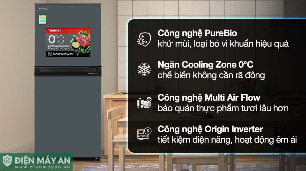 Tủ Lạnh Toshiba Inverter 194 Lít GR-RT252WE-PMV(52) - tổng quan